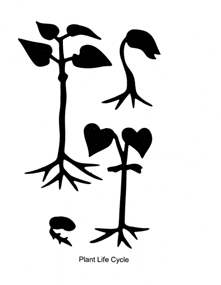 Ellison Die Plant Life Cycle